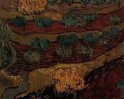 文森特 威廉 梵高 : 山坡上的橄榄树